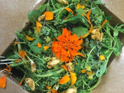 照片: Gracias Madre Raw Food